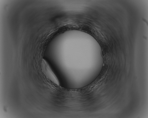 X0000093461297200710120941