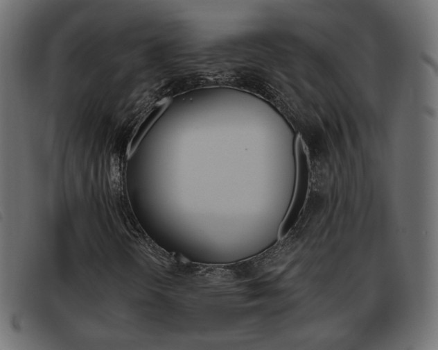 X0000093461298200710120941