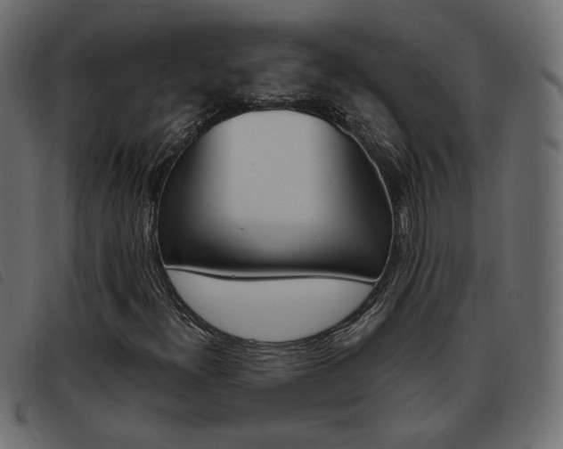 X0000093461300200710120941