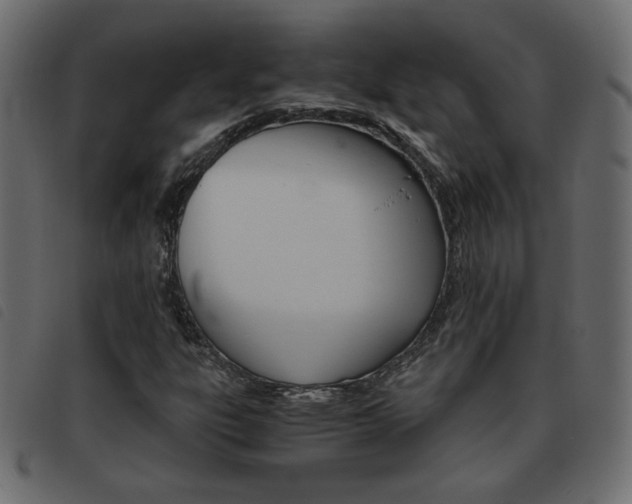 X0000093461303200710120941