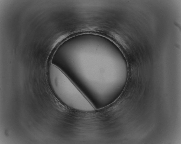X0000093461308200710120941