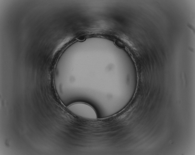 X0000093461309200710120941