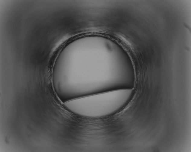 X0000093461310200710120941