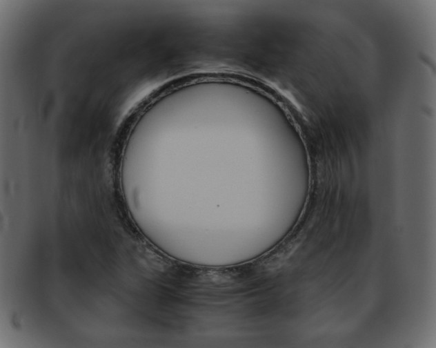 X0000093461311200710120941