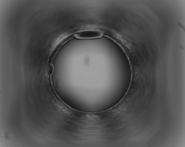 X0000093461312200710120941