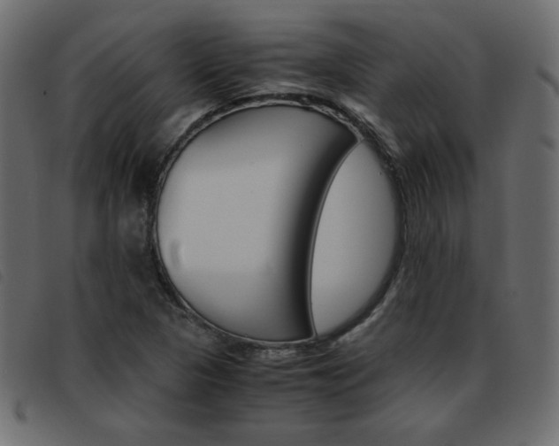 X0000093461313200710120941