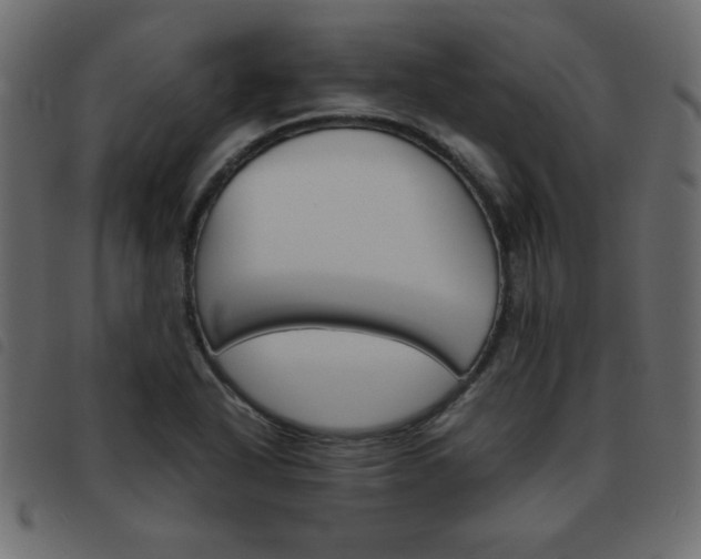 X0000093461318200710120941