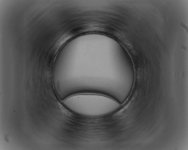 X0000093461321200710120941