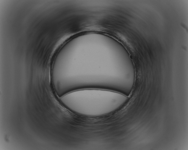 X0000093461323200710120941