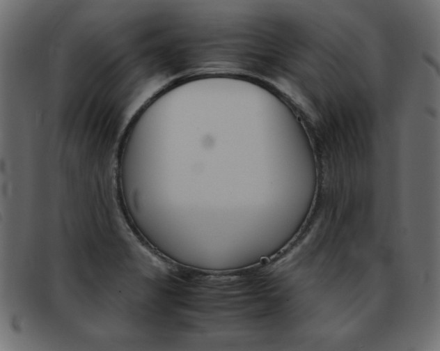 X0000093461325200710120942