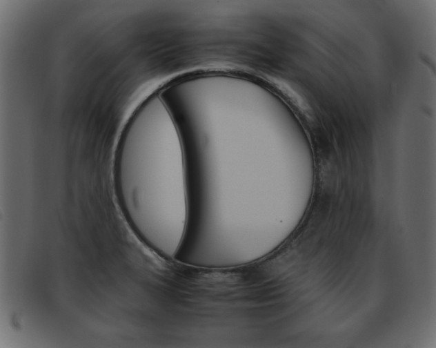 X0000093461327200710120942