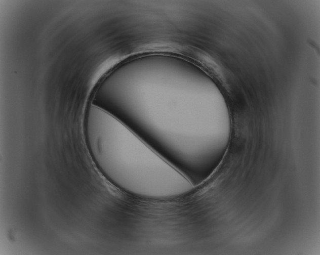 X0000093461328200710120942
