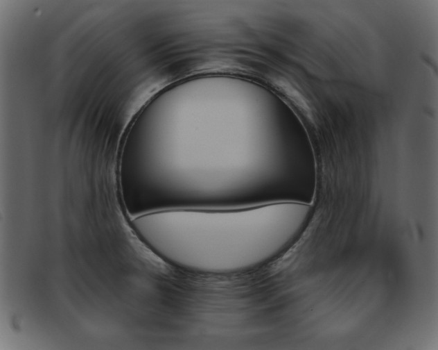 X0000093461330200710120942