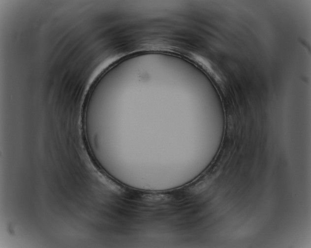 X0000093461331200710120942