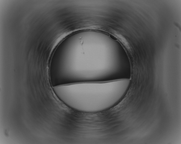 X0000093461332200710120942