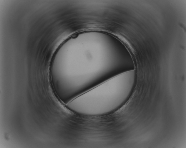 X0000093461333200710120942