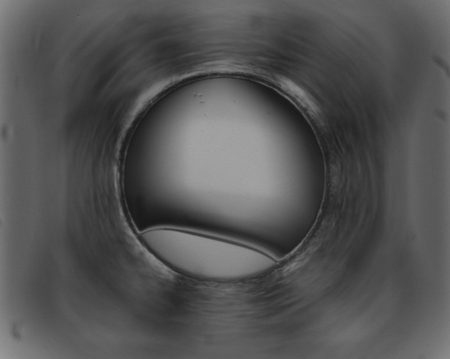 X0000093461334200710120942