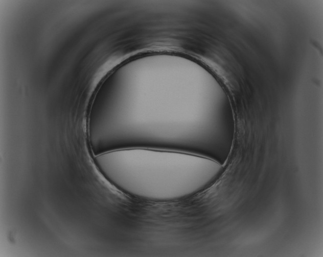 X0000093461335200710120942