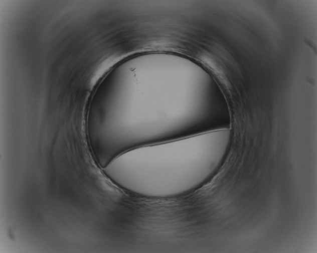 X0000093461336200710120942