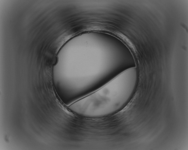 X0000093461337200710120942