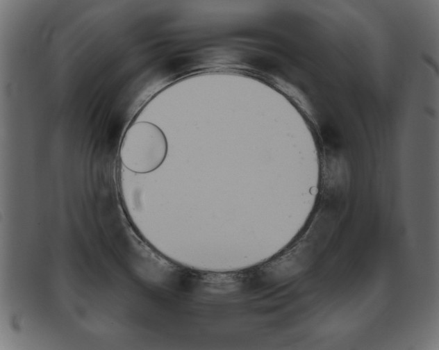 X0000093461338200710120942