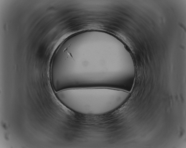 X0000093461339200710120942