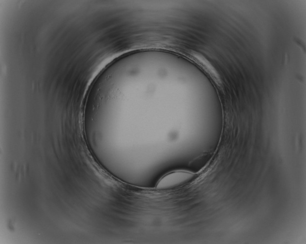 X0000093461340200710120942