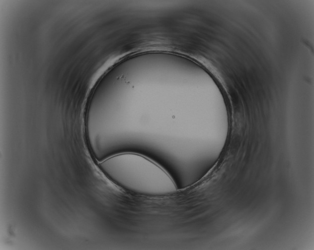 X0000093461341200710120942
