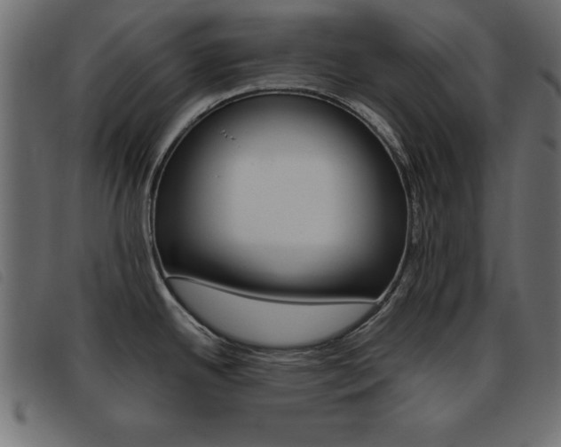 X0000093461342200710120942