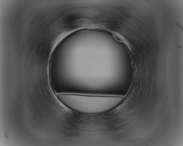 X0000093461343200710120942