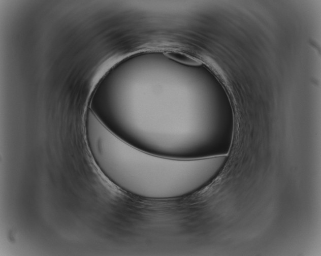 X0000093461344200710120942