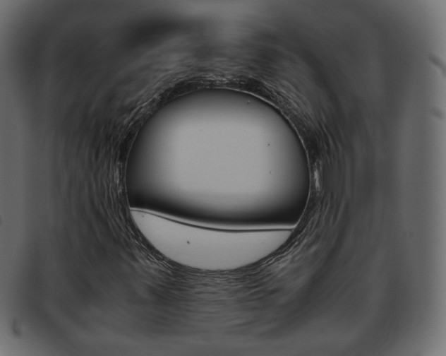 X0000093461347200710120941