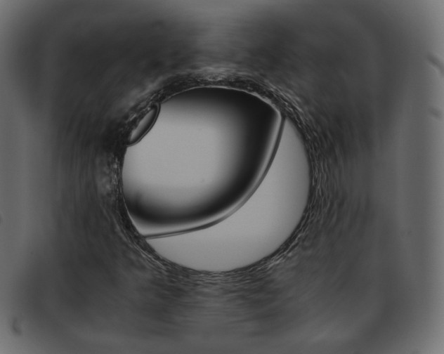 X0000093461349200710120941