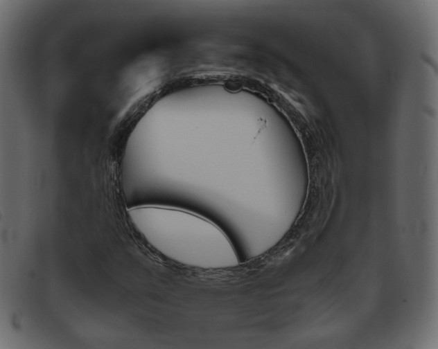 X0000093461351200710120941
