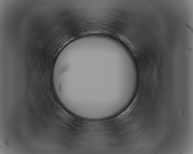 X0000093461353200710120941