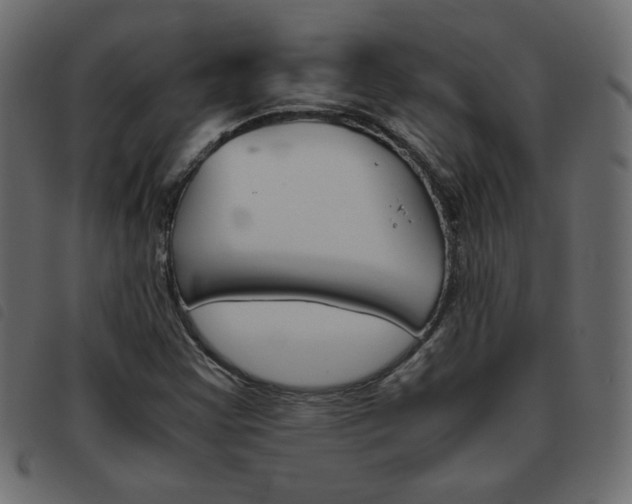 X0000093461355200710120941
