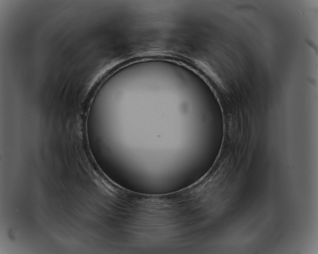 X0000093461356200710120941