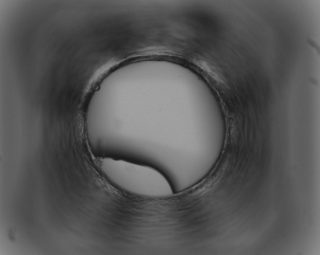 X0000093461358200710120941