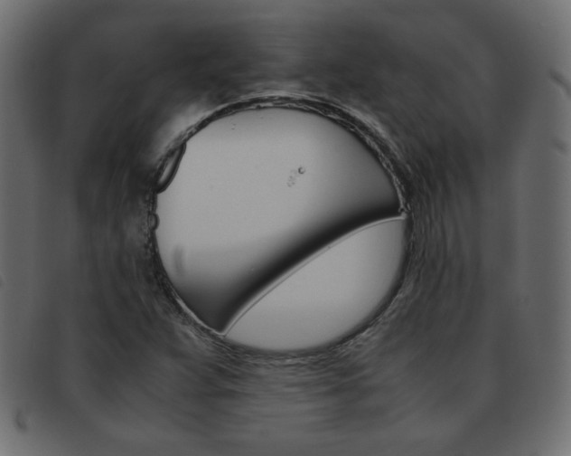 X0000093461359200710120941