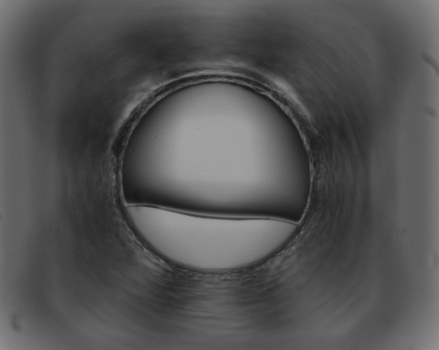 X0000093461360200710120941
