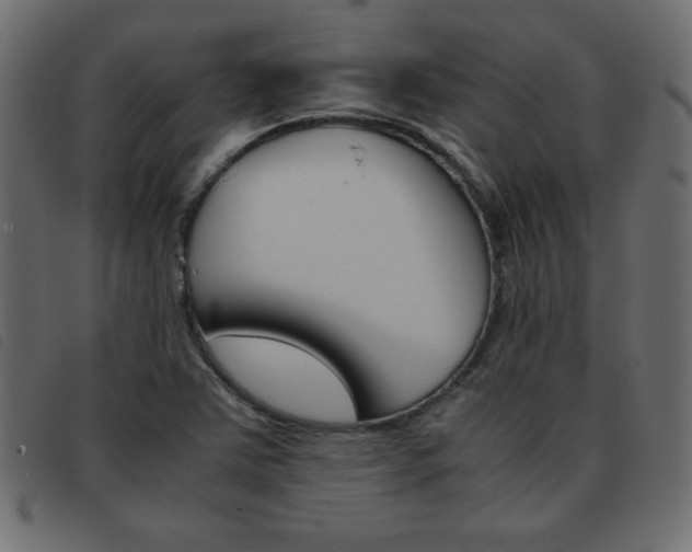 X0000093461363200710120941
