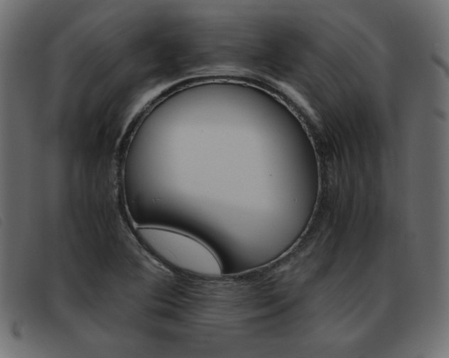X0000093461364200710120941
