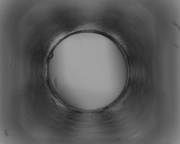 X0000093461366200710120941