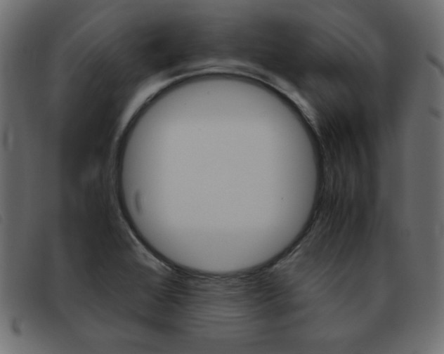 X0000093461368200710120941