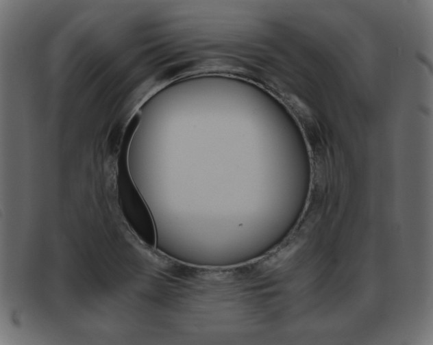 X0000093461369200710120941