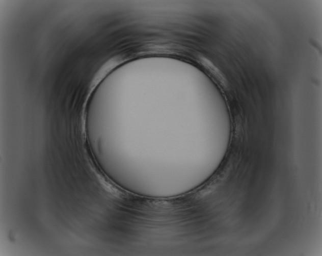 X0000093461370200710120941
