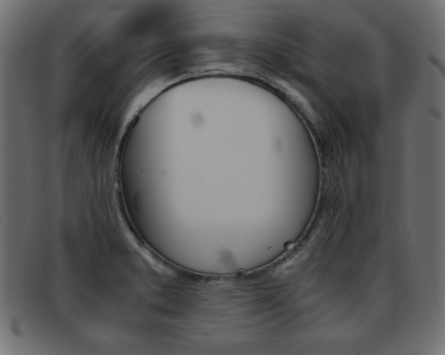 X0000093461373200710120941
