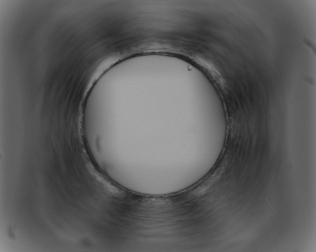 X0000093461374200710120941