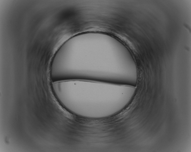 X0000093461375200710120941