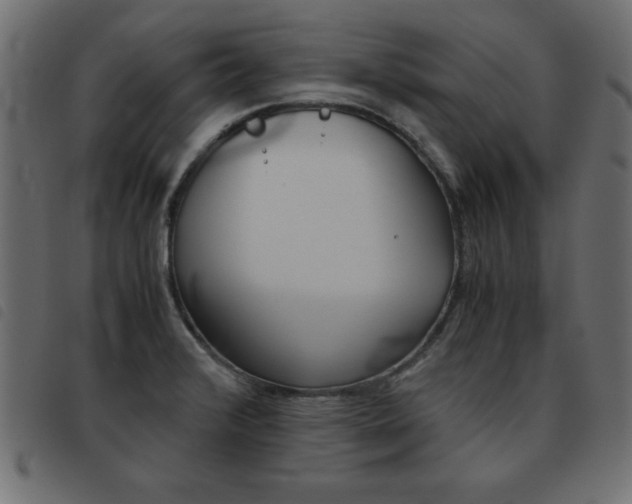 X0000093461376200710120941